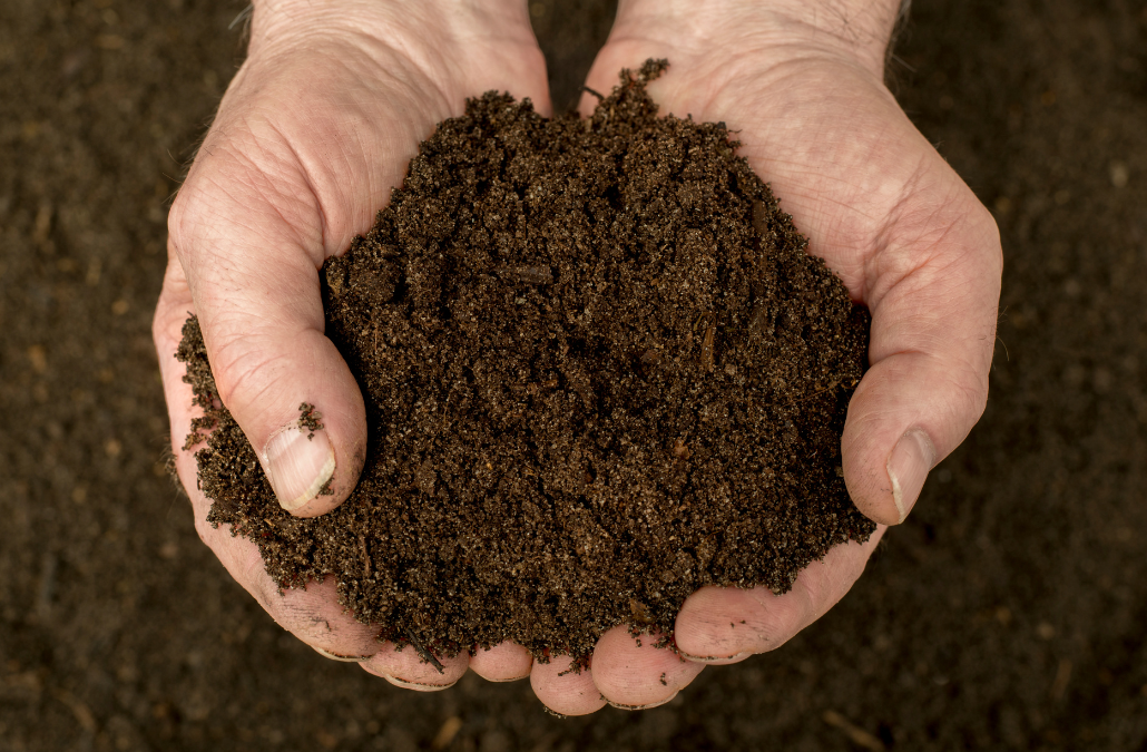 Compost para champiñón de alta calidad con Faustino Morrás S.L.