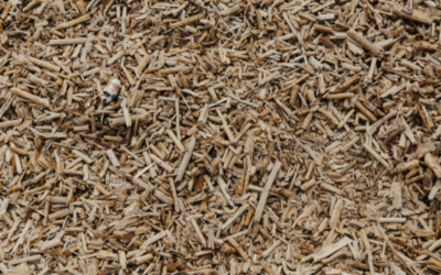 Uso de biomasa compostada en cama de paja profunda