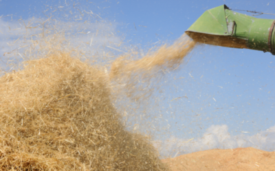 Innovar con maquinaria autónoma en distribución de paja y forraje