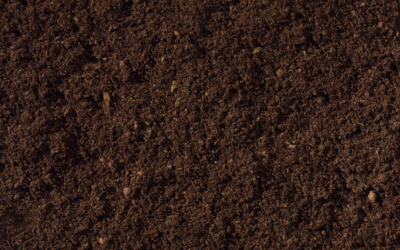Ventajas del compost para champiñón en comparación a sustratos industriales