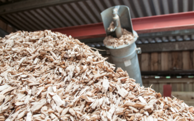 Ventajas y usos de la biomasa agraria en explotaciones modernas