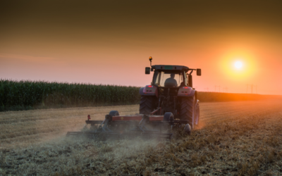 Halloween en el campo